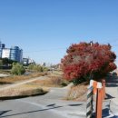 삼오공인중개사사무소 이미지