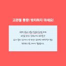 제일의원 이미지