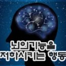 르칼피아 이미지