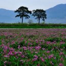 교훈농장 이미지