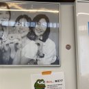 대구 반려견동반 셀프스튜디오 &#39;스튜디오남산&#39; 내돈내산 만삭촬영 후기