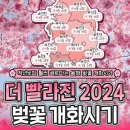 2024년에 더 빨라진 벚꽃 개화시기 이미지