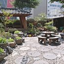 토지보리밥 이미지