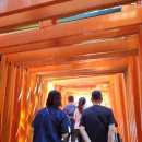 터널게이트(나) 이미지