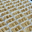 덤피(Dumpy) 이미지