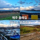 제주 올레길 8코스 | 국내여행#(43)(제주도) 제주올레길 18코스 완주후기(18코스 두번째 이야기)