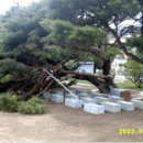 죽장초등학교상옥분교장 이미지