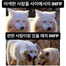 [9월 조각5] 세상 모든 종류의 사랑, 나의 가장 완벽한 글, 나의 오지 않은 내일