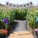 미로정원 이미지