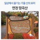 ◈ 산행지 -망곡산 둘레길 트레킹 이미지