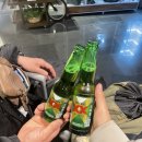 11590-나20 | 🇲🇽 멕시코 자유여행 / 멕시코 호텔 숙소 리뷰 후기 / 멕시코시티 Lombardo Suites / 과달라하라 Hotel...