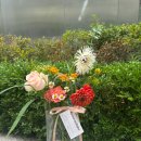 에머렌틴플라워 | [서울/공덕] 당일예약 가능한 공덕 꽃집 l 에머렌틴 플라워