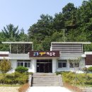 금산개구리
