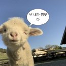 현 소프트 | W02. 아이폰스냅추천 :: 소프트보울 계약후기