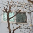 묵동-080 Daum카페