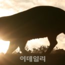 돈다산농장 이미지