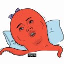 또와찜닭 | 6월 마지막 일상 정리 먹고 뛰는 일상