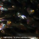 섬게스트하우스 이미지