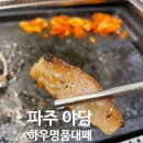 [파주 야당역 냉삼 맛집] 신선한 야채가 무한리필인 하우명품대패 본점 후기