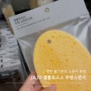 스펀지 - 포항시 북구 중앙상가길 19 | 자주 셀룰로오스 주방 스펀지 후기｜싱크대 물기 제거가 이렇게 쉬웠다고?
