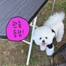 방모산2길 이미지