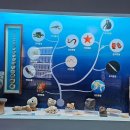 땅끝해양자연사박물관 이미지