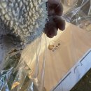 굿니스 피티 | 11월이라니