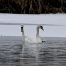 여주-1005 이미지