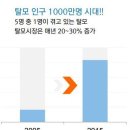 다모헤어 이미지