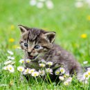 강남유나이티드병원 이미지