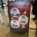 주식회사 블롭 | 스태츄 소프스튜디오 워너브라더스 디즈니 도날드 덕 미라 피규어 할로윈 구입 후기 건대 팝업스토어