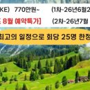 브이아이피여행사 이미지