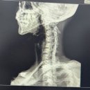 에너지신경외과의원 이미지