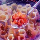 빼올농장 이미지