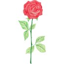 엔오엔팜 이미지