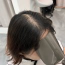 헤어증모하다