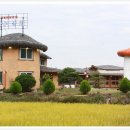 왕의갈비 이미지