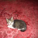 연두농장 이미지