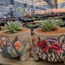 억대농장 이미지