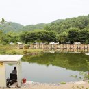 가평낚시터 이미지