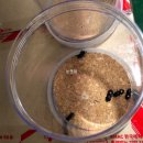 포항곤충농장 이미지