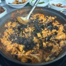 돈짱해물짱 이미지