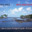 대부도전원주택개발부지급매-약3500평(대부도부동산LBA3090) 이미지