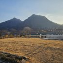 황금1길 이미지