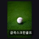 금곡스크린골프 - 북구 금곡대로 479 | 금곡스크린골프