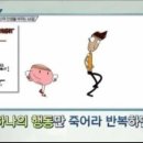 인셀덤 행복