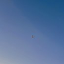 라벤더펜션 이미지