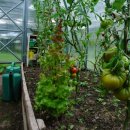 삼조농장 이미지