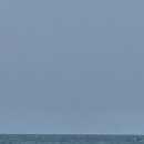 유가네식당 이미지