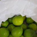 노다지유통 이미지